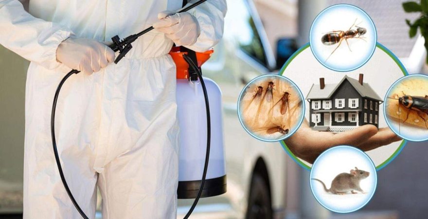 Altındağ Böcek İlaçlama