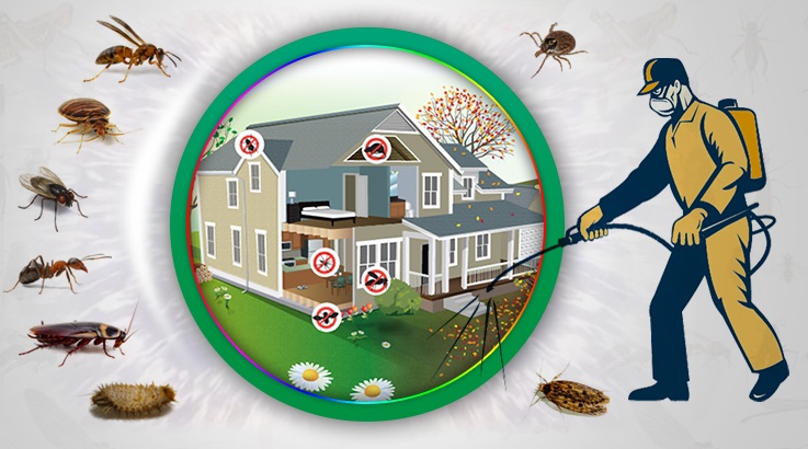 Altındağ Böcek İlaçlama