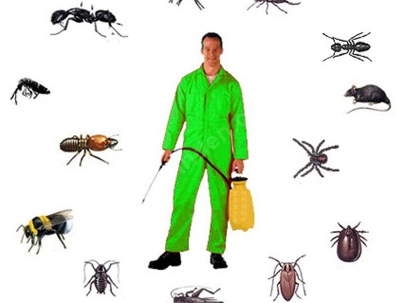 Altındağ Böcek İlaçlama